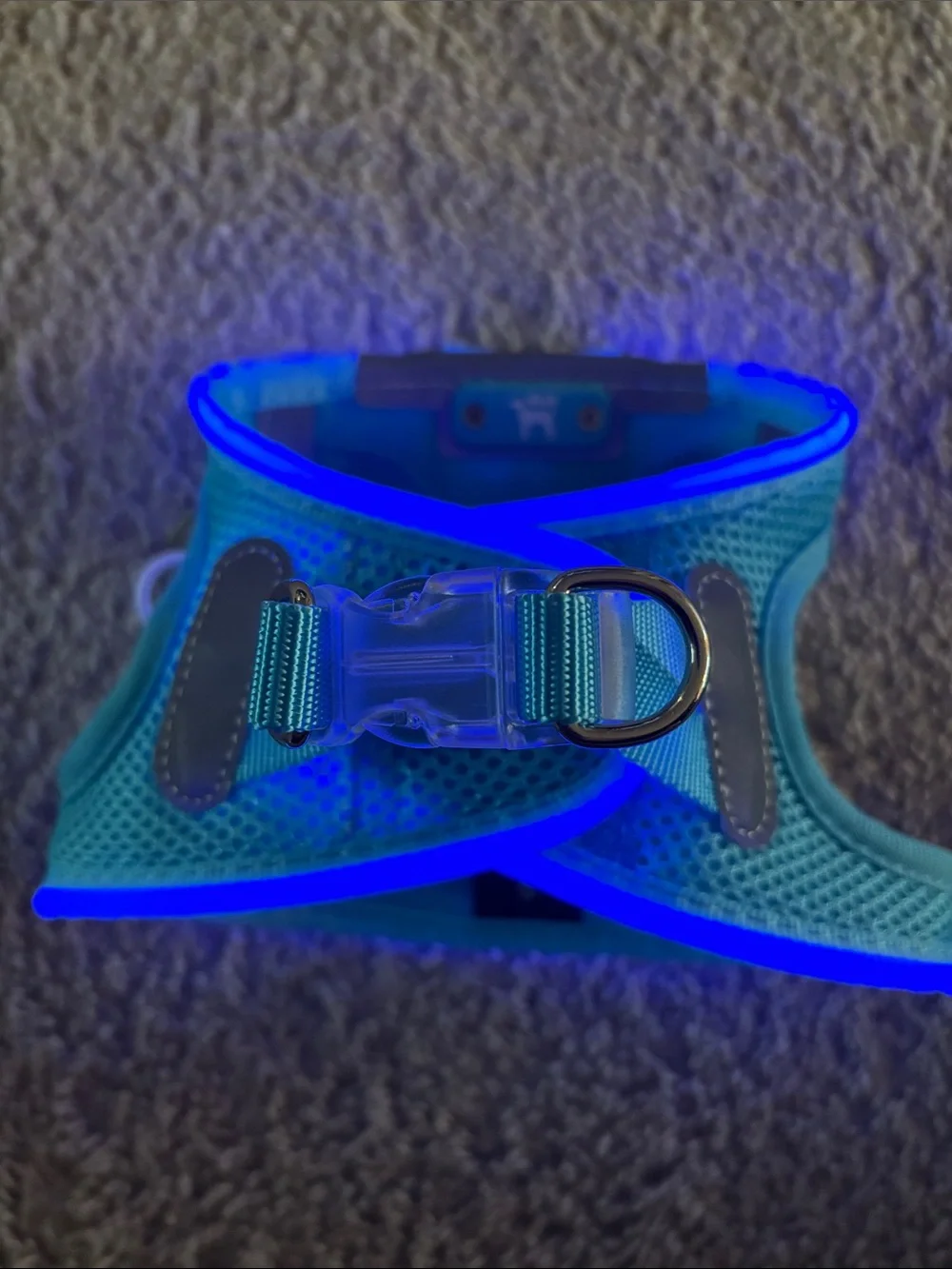 Small LED Light-Up Teal Dog Harness
